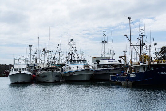 fishing trawlers in ulladulla harbour