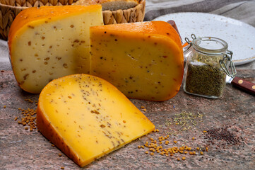 Cheese collection, pieces of hard yellow Dutch gouda cheese with dried caraway, mustard, cumin, fenugreek, pepper seeds