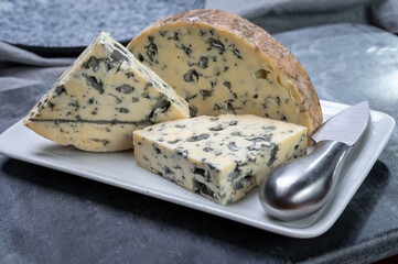 Cheese collection, piece of French blue cheese fourme d'ambert