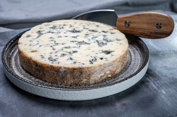 Cheese collection, piece of French blue cheese fourme d'ambert