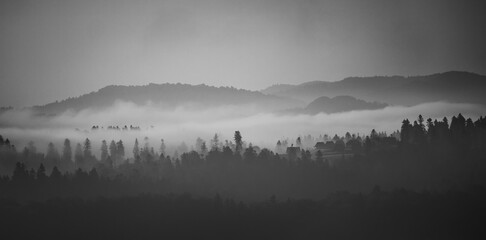 fog in the mountains © Sieku Photo
