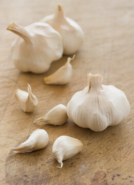 Studio shot of fresh garlic