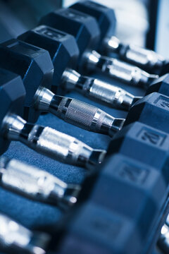 Row of dumbbells in gym