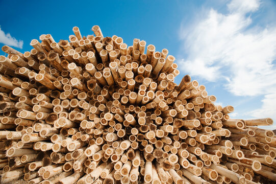 Stack of timber against blue sky