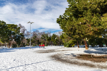 central zone of the O'Donnell park in alcala de henares covered with snow on a sunny day after a snowfall