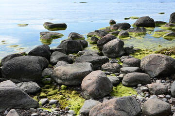 Fototapeta na wymiar Steine und Strand an der Ostsee im Lahemaa-Nationalpark in Estland