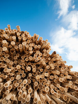 Stack of timber against blue sky