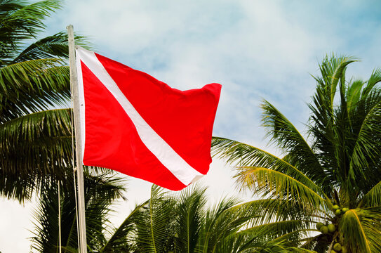 Mexico, Playa Del Carmen, red flag with palm trees
