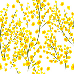 Bouquet of mimosa. From March 8. Seamless background. Vector illustration