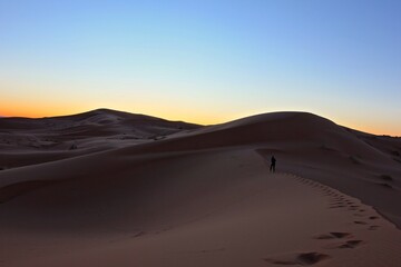 The Sahara