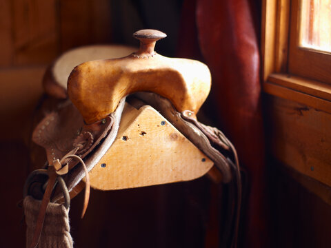 Saddle ion wooden stand