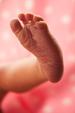 Close-up of foot of newborn girl (0-1months)
