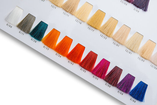 Colored hair. Book hair dye. Beauty salon. Making new a hair color. Paint color palette. Sample coloring hair.