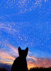 Black silhouette of a cute little kitten sitting outdoors and looking    to the wonderful sunset.Animals, pets, animals day concept.