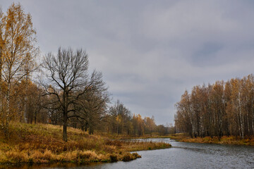 Obraz na płótnie Canvas Autumn landscape with river and trees with yellowed foliage and overcast sky.
