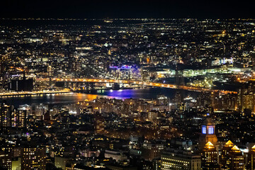 Fototapeta na wymiar Scenic view of Manhattan bridge and downtown scyscrapers at night