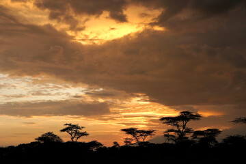 Fototapeta na wymiar Sunrise under stormy skies, Ngorongoro Conservation Area, Tanzania