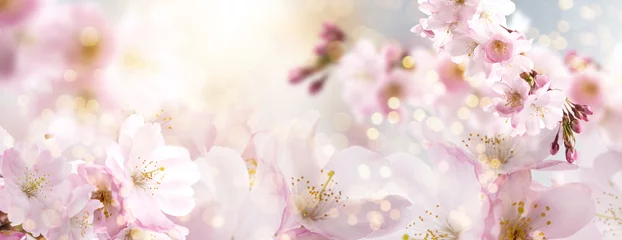 Fleecedeken met foto Spring Nature Easter art background with blossom. Beautiful nature scene with blooming flowers tree.and sun flare. Sunny day. Spring flowers. Beautiful Orchard. Abstract blurred background. Springtime © drubig-photo
