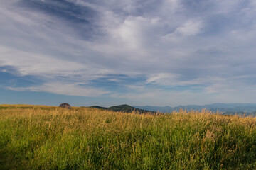 Fototapeta premium Grass and sky