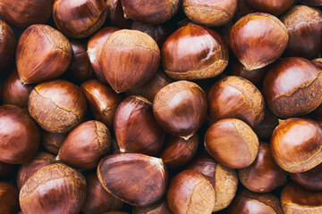 Fresh uncooked sweet chestnut. Pile of fresh chestnuts ready to roast shot. Top view