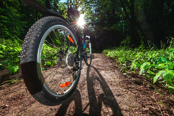 Naklejka na ściany i meble Bike on a forest trail in the morning