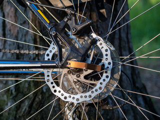 rear disc brakes on multi-speed bike for mtb, mountain bike, perforated disc with calipers, brakes...