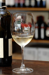 the white wine of the Verdicchio brands and the Piceno red wine