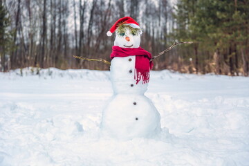funny christmas snowman is in the forest