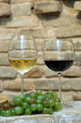 the white wine of the Verdicchio brands and the Piceno red wine