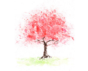 桜の水彩画