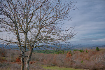 Valley view in Kardzali Bulgaria green grass, dried and withered plants.