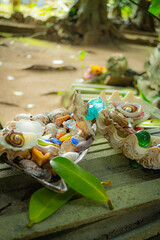 ビーチコーミング