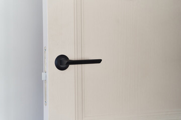 interior door close up with black door handle