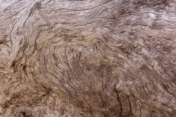 Brown wood texture and background