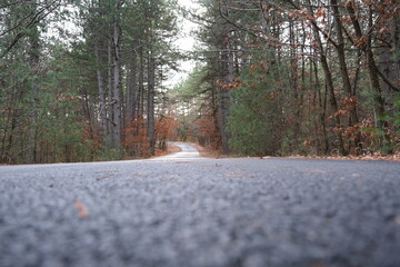 Asphalt road view together with autumn colors. Dried leaves, trees and silence nature. 