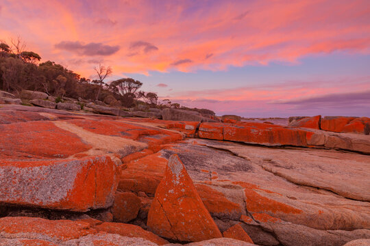 Beautiful sunset over rock shelf . At  Bicheno ,part of the municipality of Glamorgan- Spring Bay. East Coast of Tasmania , Australia.
