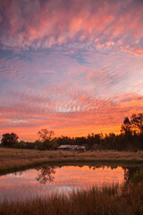 Fototapeta premium Beautiful sunset over Teds Hut and dam .Sedgefield near Singleton. Hunter Valley of N.S.W. Australia.