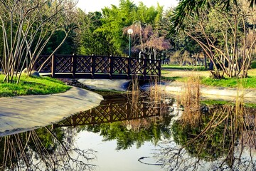 Small and cute bridge made of wood in a botanical park. Reflection of the bridge on the pond or river.