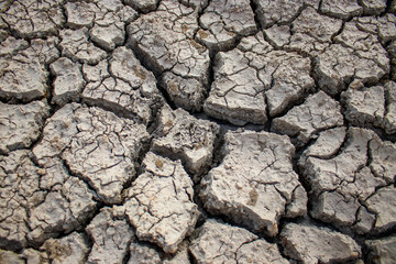 soils that dry and crack from thirst