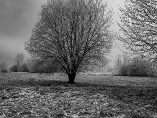 
Winter landscape. Free entry ready