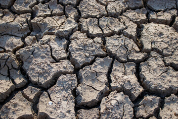 soils that dry and crack from thirst