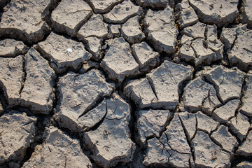 soils that dry and crack from thirst