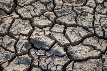 soils that dry and crack from thirst