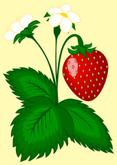 Strawberry berries on the bush - vertical illustration. Cover for a book or notepad, postcard or screensaver for the phone, poster.