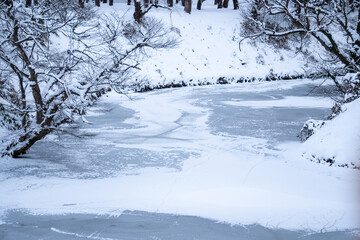 冬の鶴ヶ城公園の氷が張ったお堀