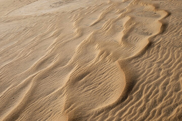 Fototapeta premium Sand dunes at Jockey's Ridge State Park