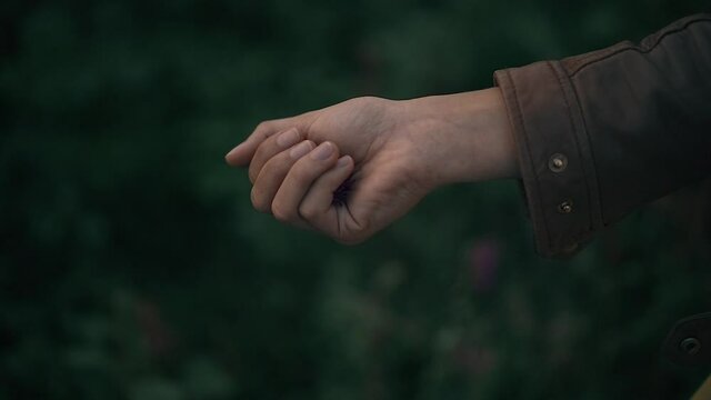 mano y flor