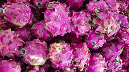 Organic Fresh Dragon fruit, pitaya on market