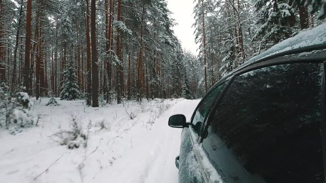 Side mounted camera on the car driving through forest road covered in snow. Forest, snowy trees visible. Wehicle type - ford mondeo MK4. Color silver or grey.