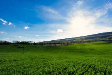 green field